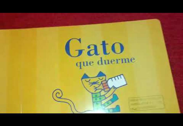 Embedded thumbnail for CUENTO: GATO QUE DUERME